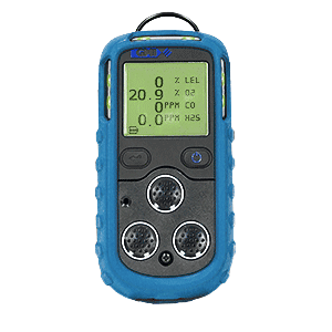 Teledyne PS200 64113 1-Gas H2S Pumped (Standard Filter on LEL Sensor)
